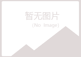 岢岚县现实能源有限公司